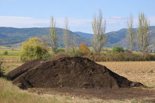compost de boues
